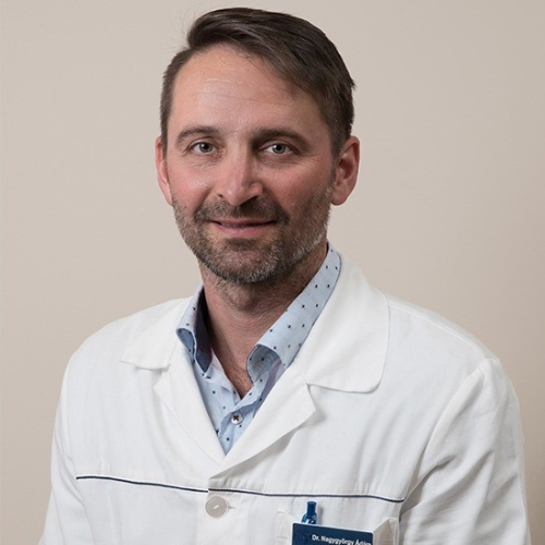 Zoltán Balsay M.D.